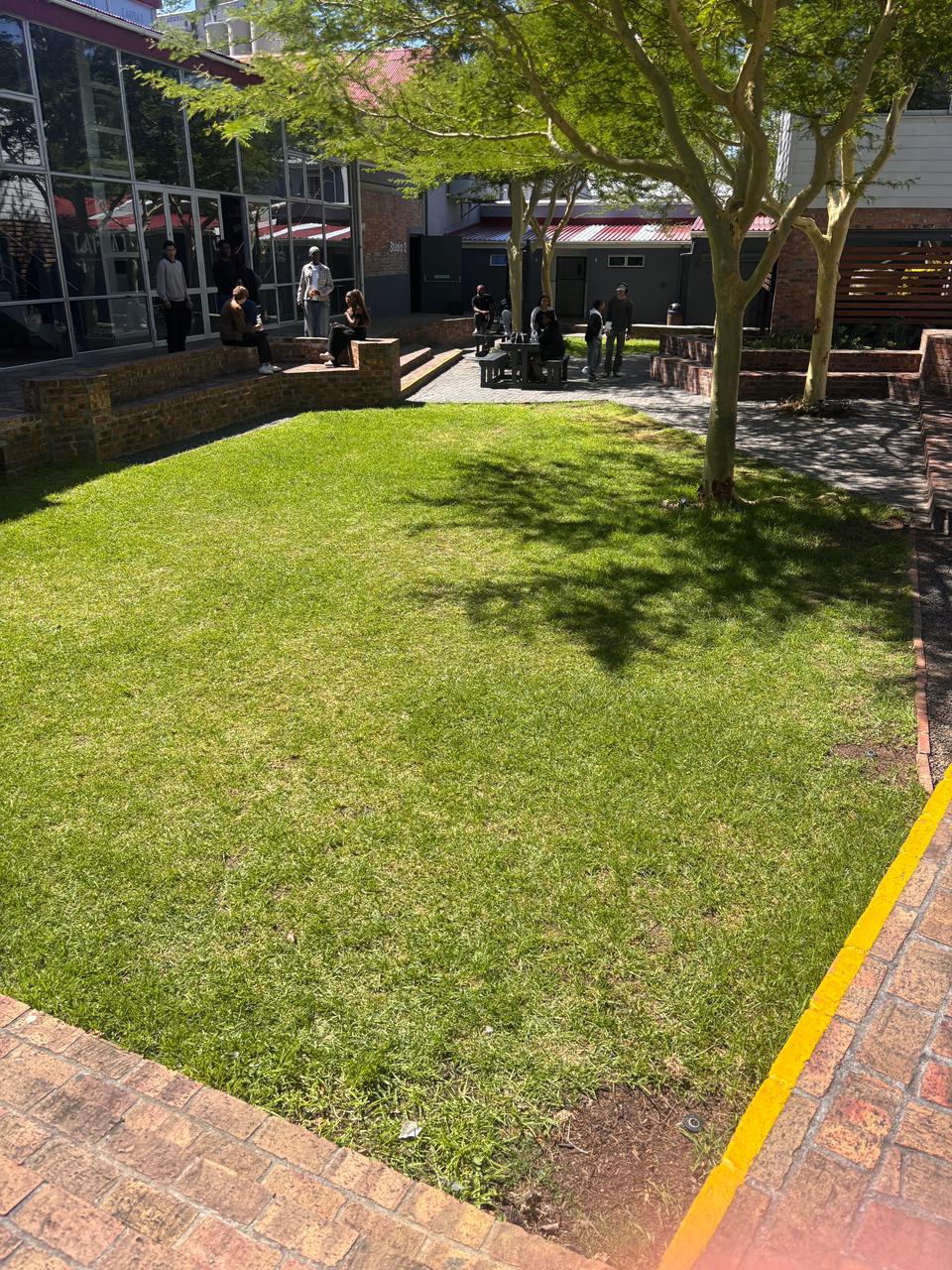 Manicured lawn in commercial courtyard with trees, Cape Town